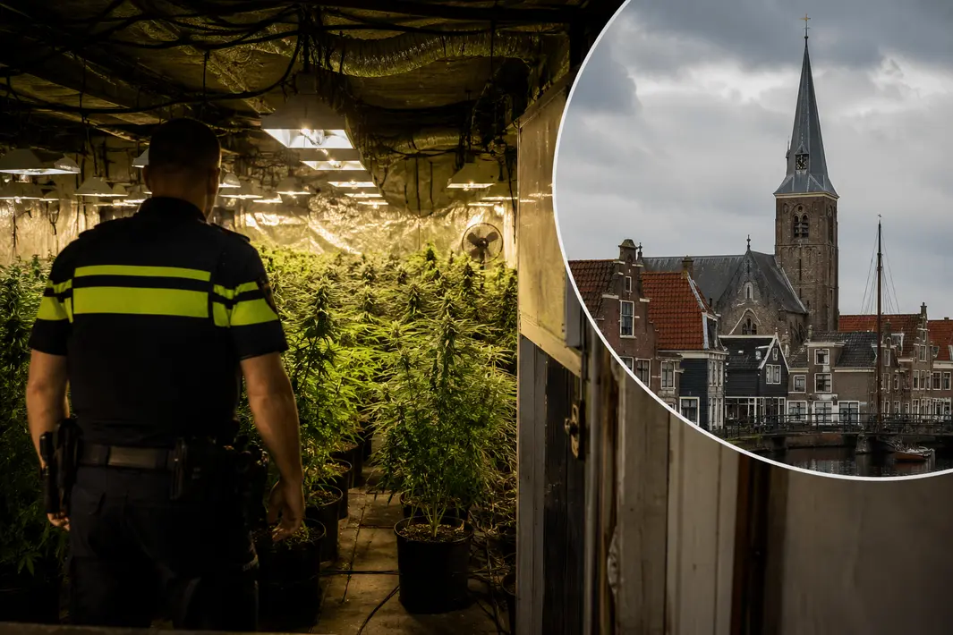 Politie treft grote ondergrondse hennepkwekerij aan in Edam